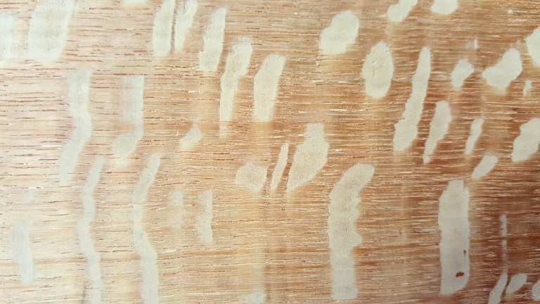 Bois moucheté (grage rose)